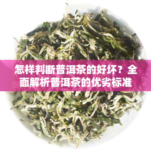 怎样判断普洱茶的好坏？全面解析普洱茶的优劣标准