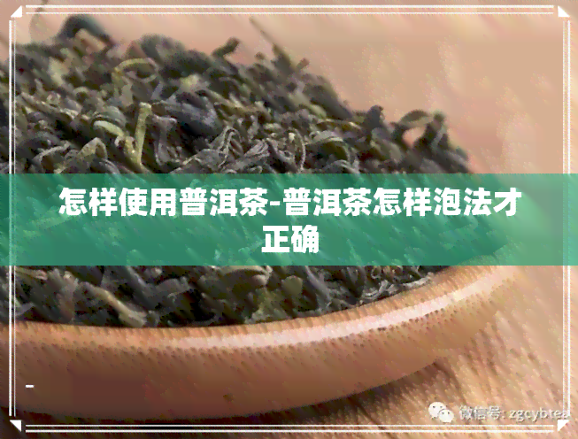 怎样使用普洱茶-普洱茶怎样泡法才正确