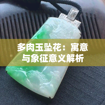 多肉玉坠花：寓意与象征意义解析