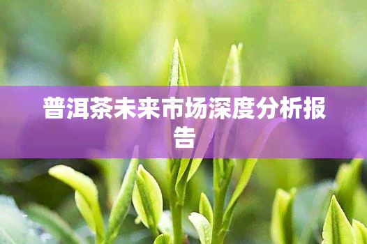 普洱茶未来市场深度分析报告