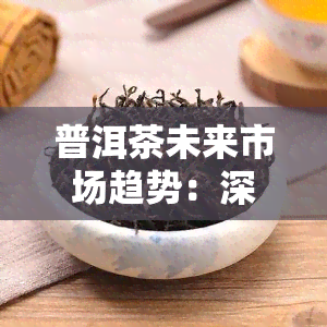 普洱茶未来市场趋势：深度解析与预测