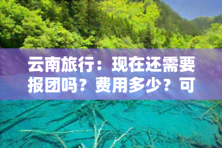 云南旅行：现在还需要报团吗？费用多少？可否前往？