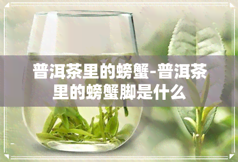 普洱茶里的螃蟹-普洱茶里的螃蟹脚是什么