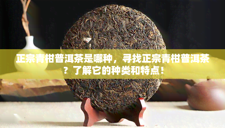 正宗青柑普洱茶是哪种，寻找正宗青柑普洱茶？了解它的种类和特点！