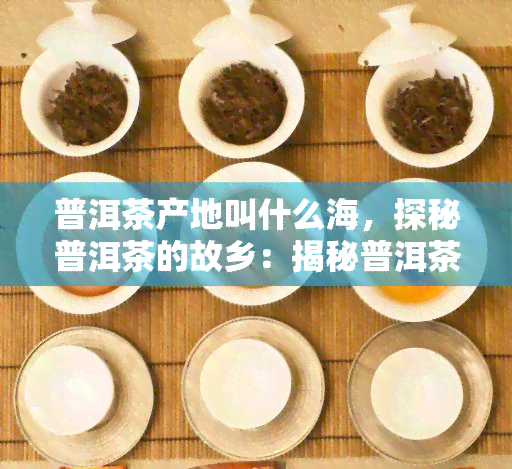 普洱茶产地叫什么海，探秘普洱茶的故乡：揭秘普洱茶产地——大海