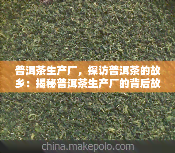 普洱茶生产厂，探访普洱茶的故乡：揭秘普洱茶生产厂的背后故事