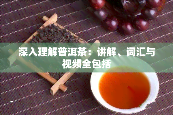 深入理解普洱茶：讲解、词汇与视频全包括