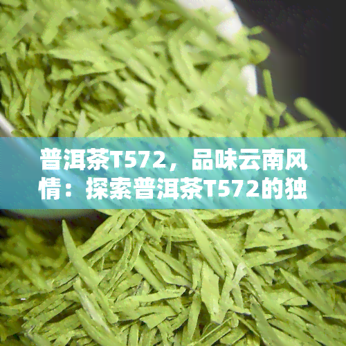 普洱茶T572，品味云南风情：探索普洱茶T572的独特魅力