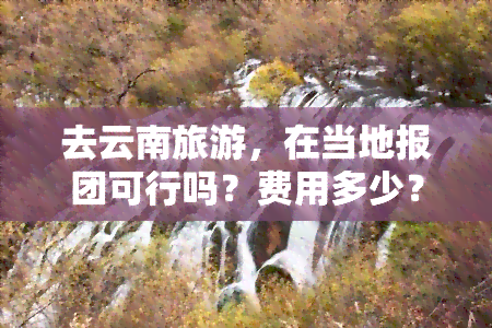 去云南旅游，在当地报团可行吗？费用多少？