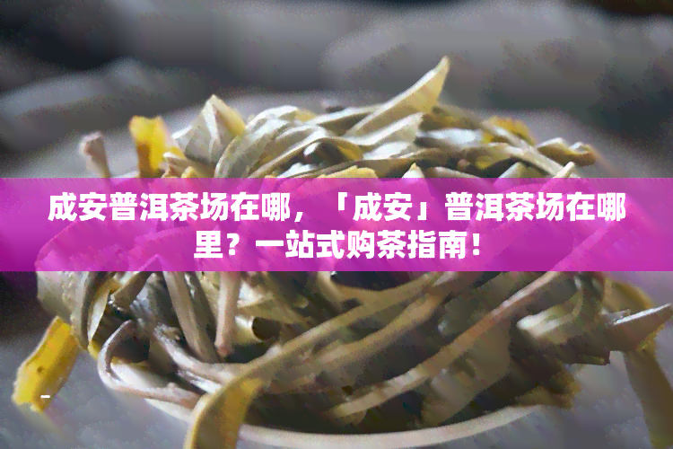 成安普洱茶场在哪，「成安」普洱茶场在哪里？一站式购茶指南！