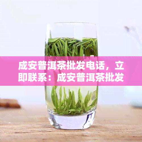 成安普洱茶批发电话，立即联系：成安普洱茶批发电话，优质茶叶一手货源！