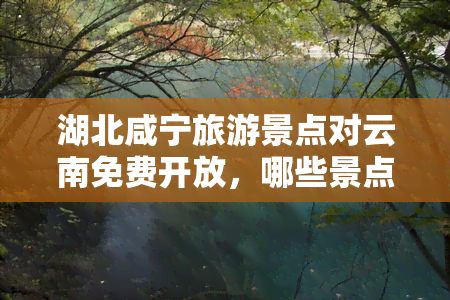 湖北咸宁旅游景点对云南免费开放，哪些景点包括在内？