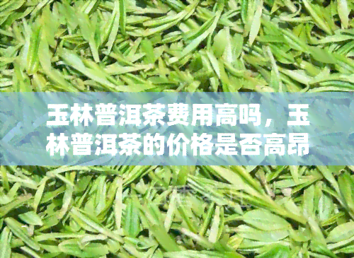 玉林普洱茶费用高吗，玉林普洱茶的价格是否高昂？一份全面的费用分析