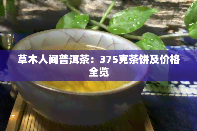 草木人间普洱茶：375克茶饼及价格全览