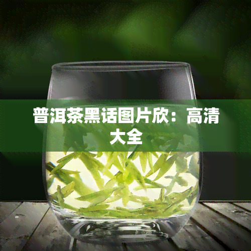 普洱茶黑话图片欣：高清大全