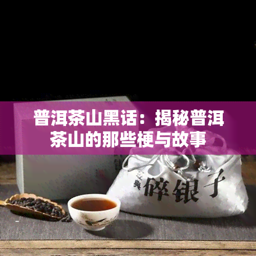 普洱茶山黑话：揭秘普洱茶山的那些梗与故事