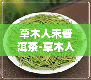 草木人禾普洱茶-草木人间普洱茶