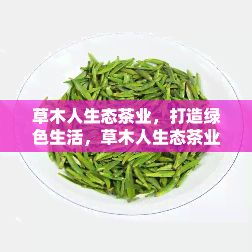 草木人生态茶业，打造绿色生活，草木人生态茶业引领健饮茶新风