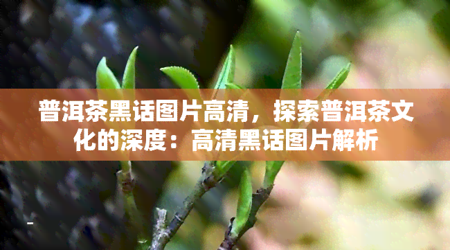 普洱茶黑话图片高清，探索普洱茶文化的深度：高清黑话图片解析