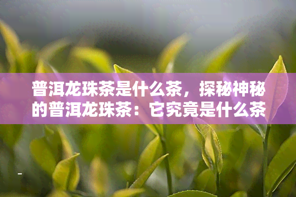 普洱龙珠茶是什么茶，探秘神秘的普洱龙珠茶：它究竟是什么茶？