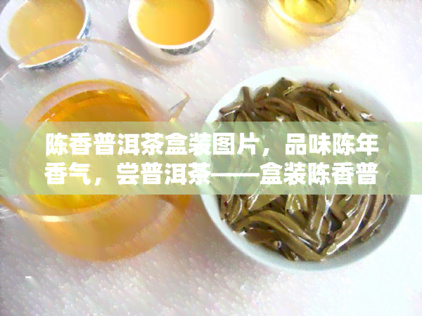 陈香普洱茶盒装图片，品味陈年香气，尝普洱茶——盒装陈香普洱茶图片欣