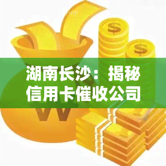 湖南长沙：揭秘信用卡公司及具体方式