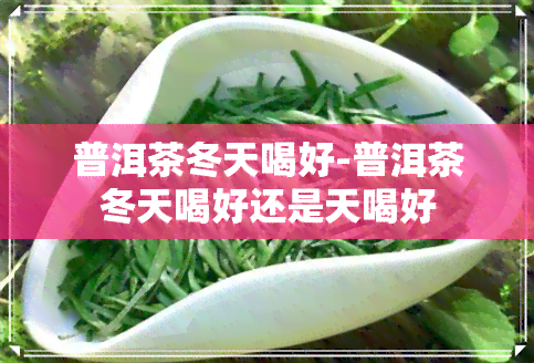 普洱茶冬天喝好-普洱茶冬天喝好还是天喝好