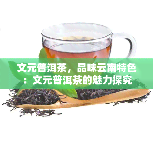 文元普洱茶，品味云南特色：文元普洱茶的魅力探究