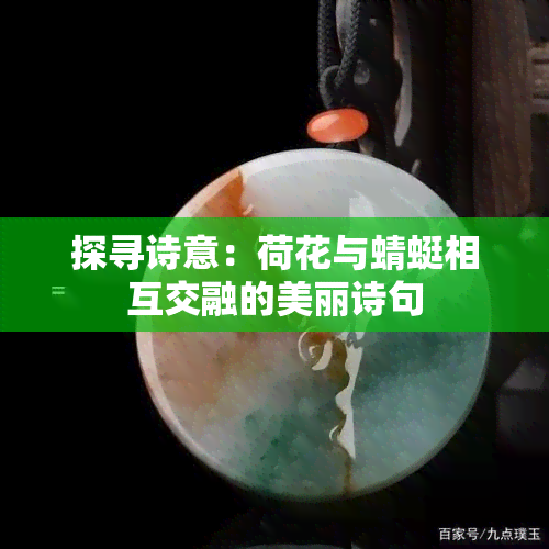 探寻诗意：荷花与蜻蜓相互交融的美丽诗句