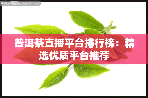 普洱茶直播平台排行榜：精选优质平台推荐