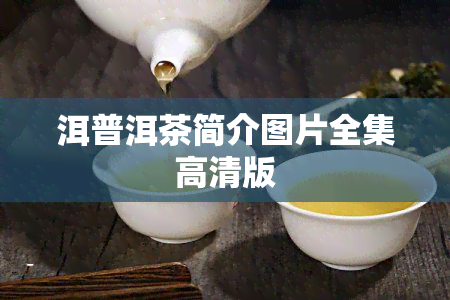 洱普洱茶简介图片全集高清版