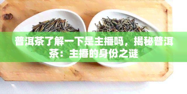 普洱茶了解一下是主播吗，揭秘普洱茶：主播的身份之谜