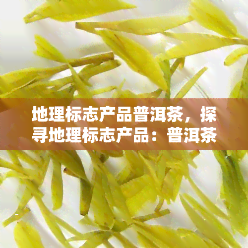 地理标志产品普洱茶，探寻地理标志产品：普洱茶的独特魅力