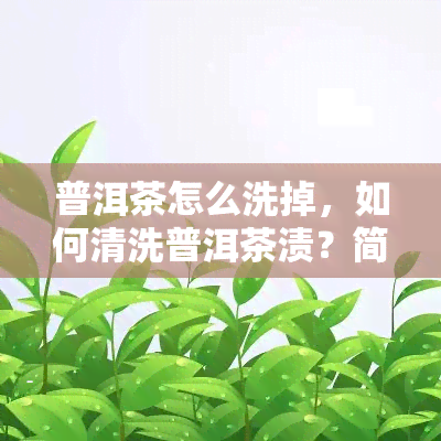 普洱茶怎么洗掉，如何清洗普洱茶渍？简易步骤教你轻松去除茶垢