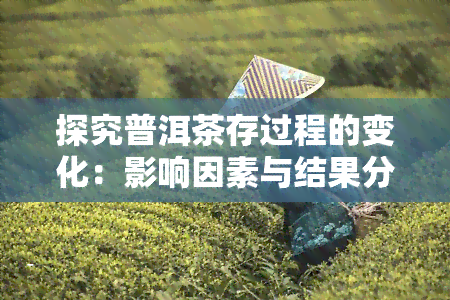 探究普洱茶存过程的变化：影响因素与结果分析