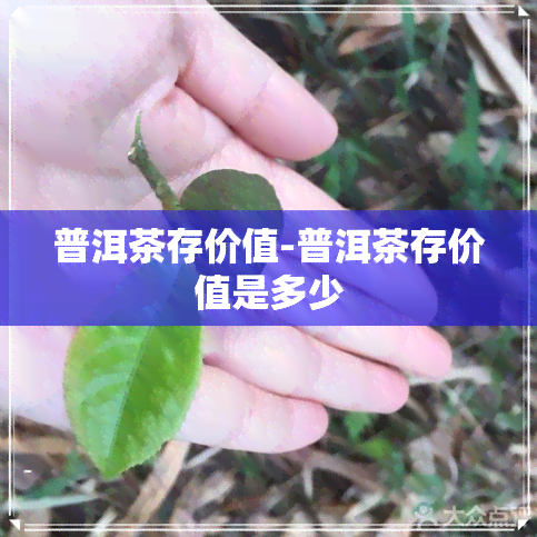 普洱茶存价值-普洱茶存价值是多少