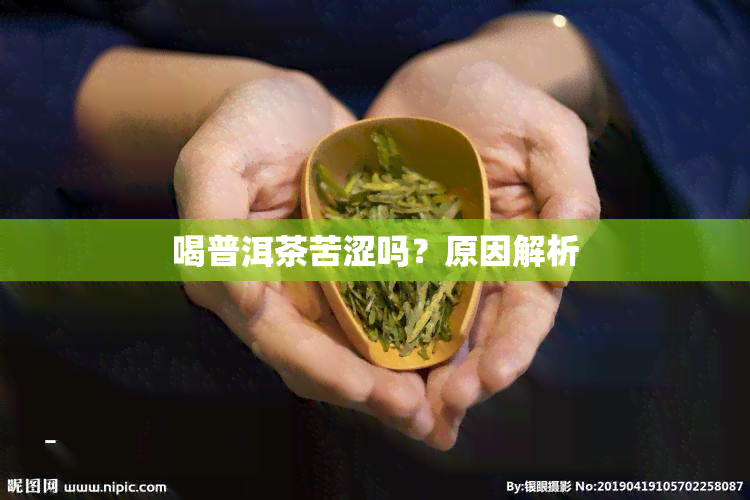 喝普洱茶苦涩吗？原因解析