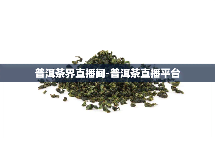 普洱茶界直播间-普洱茶直播平台