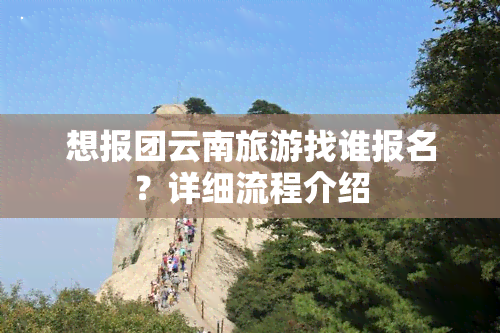 想报团云南旅游找谁报名？详细流程介绍