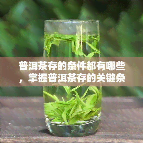 普洱茶存的条件都有哪些，掌握普洱茶存的关键条件，让茶叶更加美味持久！