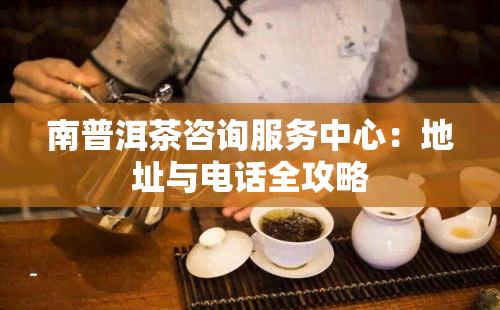 南普洱茶咨询服务中心：地址与电话全攻略