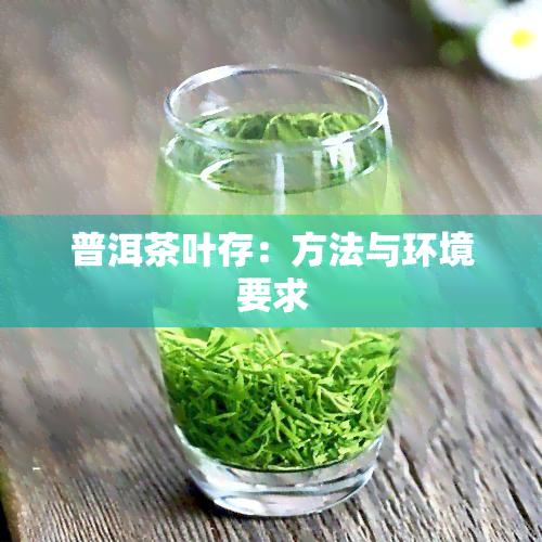 普洱茶叶存：方法与环境要求