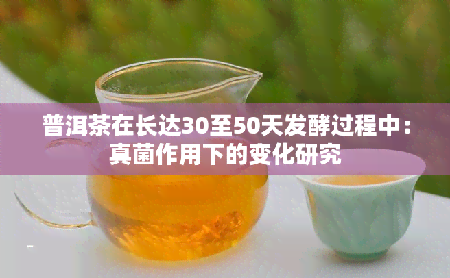 普洱茶在长达30至50天发酵过程中：真菌作用下的变化研究