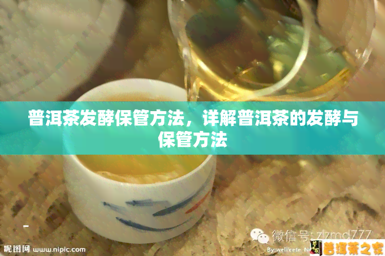 普洱茶发酵保管方法，详解普洱茶的发酵与保管方法