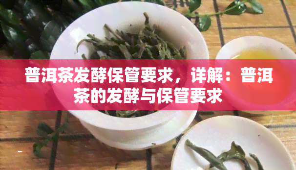 普洱茶发酵保管要求，详解：普洱茶的发酵与保管要求