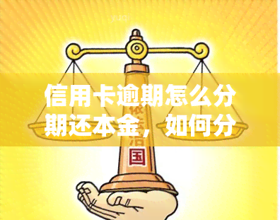 信用卡逾期怎么分期还本金，如何分期偿还信用卡逾期的本金？