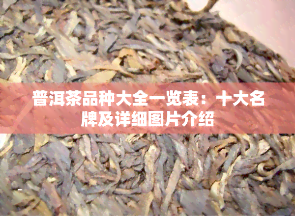 普洱茶品种大全一览表：十大名牌及详细图片介绍