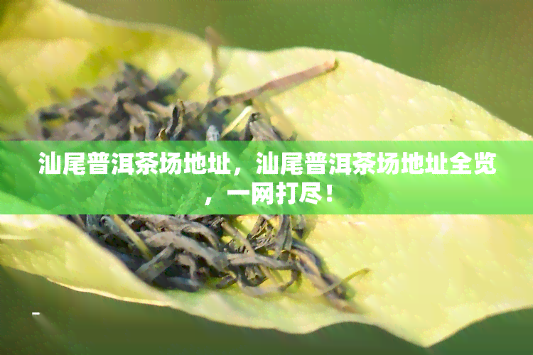 汕尾普洱茶场地址，汕尾普洱茶场地址全览，一网打尽！