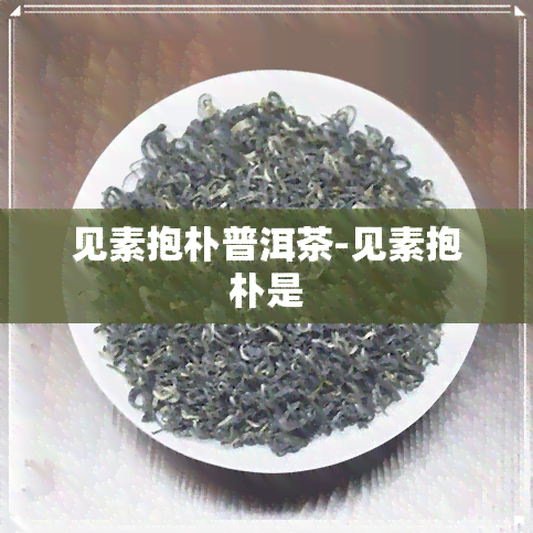 见素抱朴普洱茶-见素抱朴是