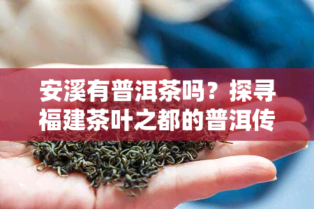 安溪有普洱茶吗？探寻福建茶叶之都的普洱传说